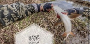 Говорят рано , но меня не успокоить. Рыбалка на спиннинг