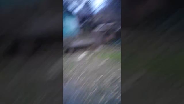 Палим где живёт Ярик Адамов (канал Focsy Pro) Запорожье смотреть онлайн