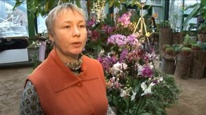 Цветы орхидеи — в ботаническом саду!