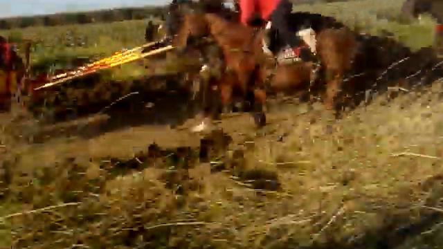 CARRO DEI GIOVANOTTI DI SAN MARTINO IN PENSILIS.- смотреть онлайн