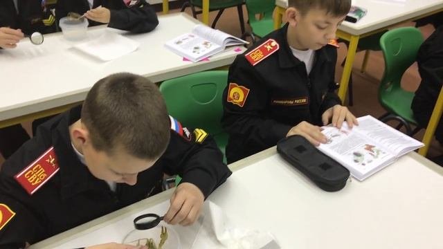 Изучаем ракообразных