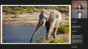 ЮАР: Кейптаун и окрестности. Проживание в AQUILA COLLECTION