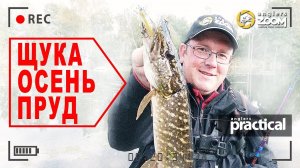 За капризной ЩУКОЙ на осенний пруд! А.Рыжов
