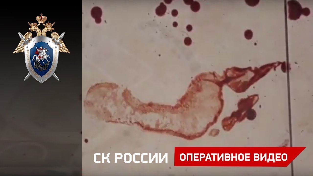 Место убийства жительницы коттеджного поселка Романовка