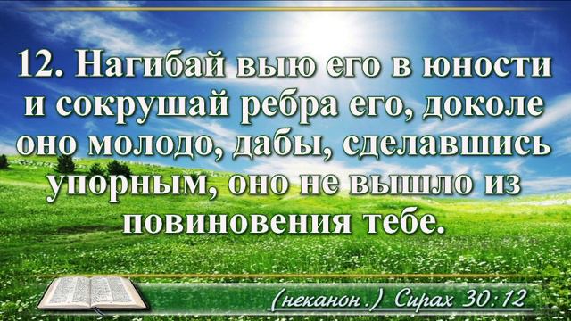 Книга премудрости Иисуса Сына Сирахова с музыкой глава 30 читаем и слушаем смотреть онлайн