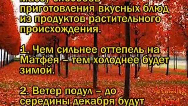 Народные приметы на 29 ноября 2020 года