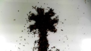 Сыпучие фантазии.mp4