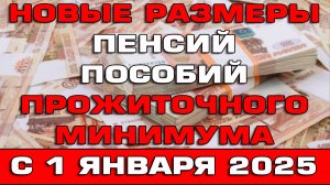 Новые размеры ПМа пенсий и пособий с 1 января 2025 Новости