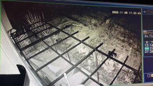 Загадочное существо чепыш