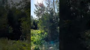 Участки в ярком. Ярославское шоссе