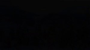 Зимние животные (4K Ultra HD) - видео расслабляющих пейзажей с вдохновляющей музыкой