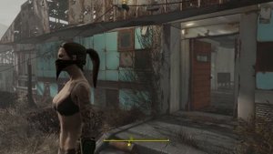 FALLOUT 4 MODS TATTOOED PLAYER
