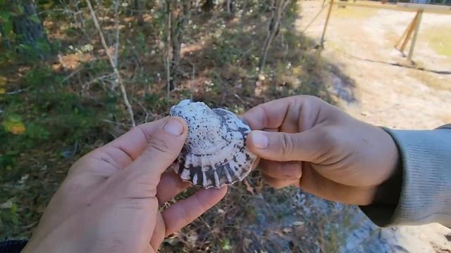 Смотрим Наши Новые Участки в США Америке 2023 смотреть онлайн