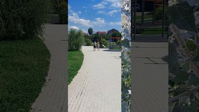 Тамбовское озеро г. Павловск Воронежская область