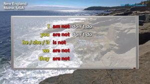 Спряжение глаголов be, do, have. Английский язык. Грамматика. Елена Шипилова.