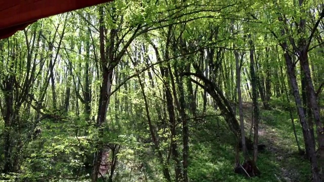 Сценарий фильма смотреть онлайн