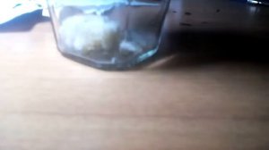 Как выращивать плесень???