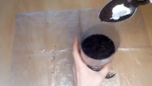 Черенкование роз поздней осенью в домашних условиях.