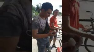 Одно Яйцо Шесть Грамм Белка.