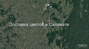 Доставка цветов в Салавате - Заказ букетов от компании Скорая подарочная помощь