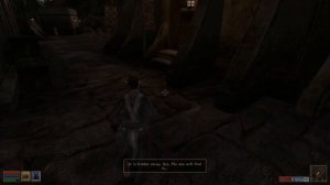 Morrowind: some alchemy before leveling up to level 8