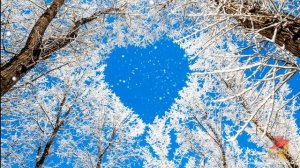 Красивые зимние футажи!!! Бесплатно!!!