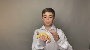 Артем Гулинян, 11 лет. Визитка от 03.09.2024.