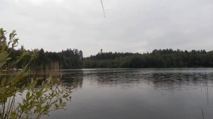 Щучьи выходы. Рыбалка в Верхнем Тагиле #ВерхнийТагил #щучьи_выходы #рыбалка_на_поппер #колебалка