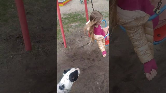 Собака Стафф и девочка смотреть онлайн