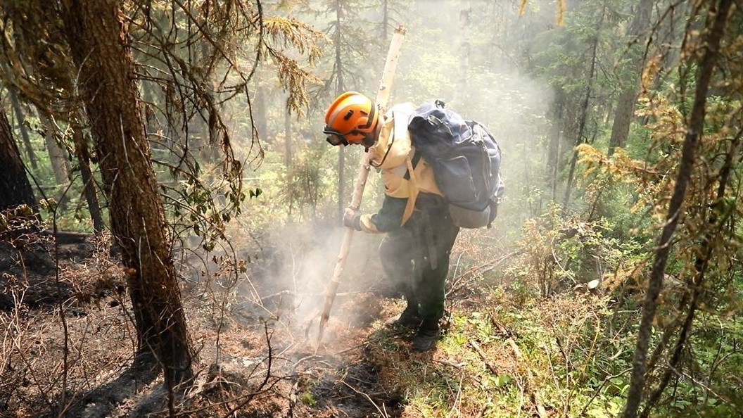Пожар леса. Лесные пожары Югра. Пожары в Югре 2023. Лесные пожары в ХМАО.