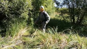 У нас в деревне начинался сенокос