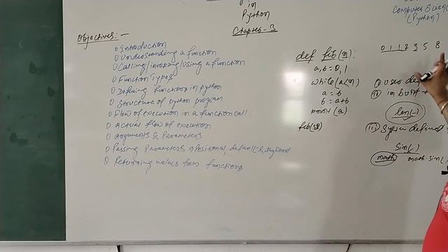Working with Functions in Python