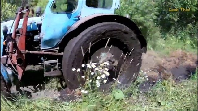 Беларусь! Уникальные особенности страны смотреть онлайн