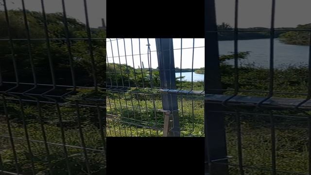 Старица р.Кубань в Кропоткине смотреть онлайн