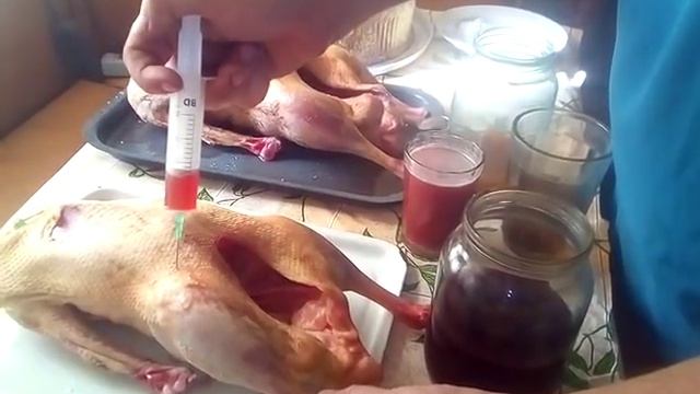 Горячее копчение гуся без маринования.