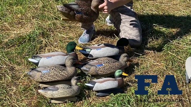 Краткий обзор чучел уток Final Approach смотреть онлайн