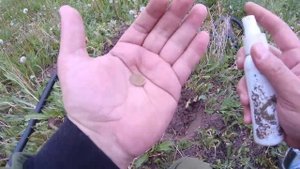 Монеты на одуванчиковом поле. Поиск монет металлоискателем #20