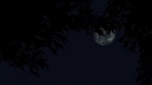 ДОМ НА БОЛОТЕ... Страшные истории от Гробовщика