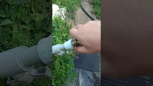 Зубр НПГ-М1-550