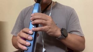 "Je Te Veux" Aerophone Mini AE-01, Sound : Flute (EP8)