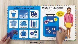 First 100 Book of Colours Lift-the-Flap: Over 50 Fun Flaps to Lift by IG @alphabet_babies