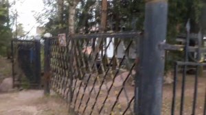 Как сажать ёлки.