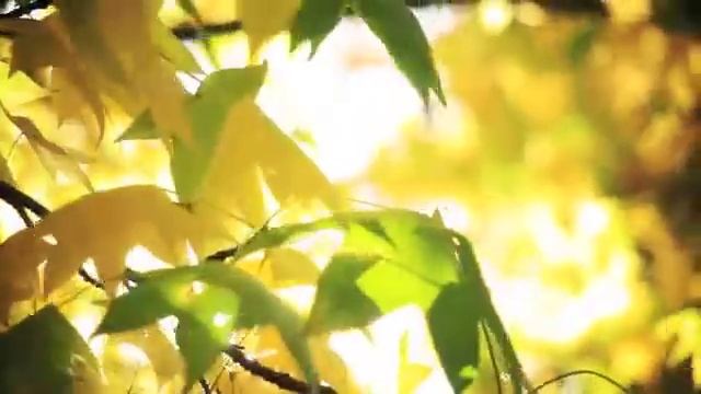 ДВЕ РЕАЛЬНОСТИ. Дополнение к техникам создания реальности. Ада Кондэ
