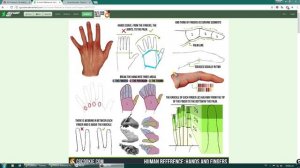 Anat-Vol 03-14  Guides_and_proportions