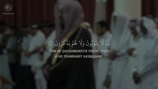 Сура 9 Ат-Тауба(Покаяние) аяты 123-129, чтец Тарик Аль-Хавас смотреть онлайн