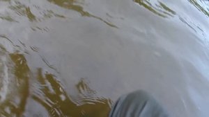 Ловля голавля на реке Уршак. Крэнки Strike Pro