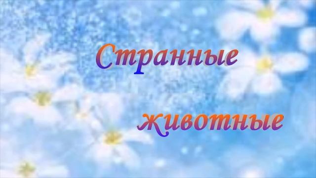 Странные животные. Часть 1