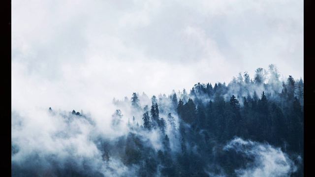 CHINESE ZEN MUSIC《淡若晨风》古琴 Guqin 竹笛 Bamboo Flute 纯音乐 古典音樂 巫娜