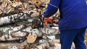 Бензопила STIHL MS 180 тест - пилю березу. Chain STIHL MS 180 VS birch tree
