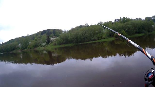 Голавль плотва густера ловля в проводку на реке смотреть онлайн